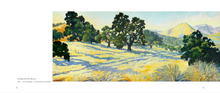 Load image into Gallery viewer, Robin Gowen: Shadow and Light
