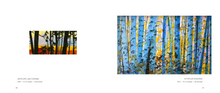 Load image into Gallery viewer, Robin Gowen: Shadow and Light
